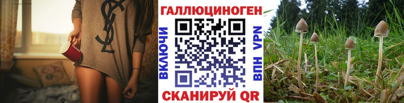 Купить где  Алупка  Псилоцибиновые грибы Psilocybe 